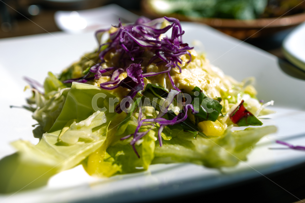 appetizer,background,closeup,cuisine,delicious,diet,dinner,dish,food,fresh,green,healthy,leaf,lettuce,lunch,meal,nutrition,organic,plate,salad,tasty,vegetable,vegetarian,white,음식,요리,샐러드,애피타이저,채소,야채,초록색,양상추,양배추,채식,건강식