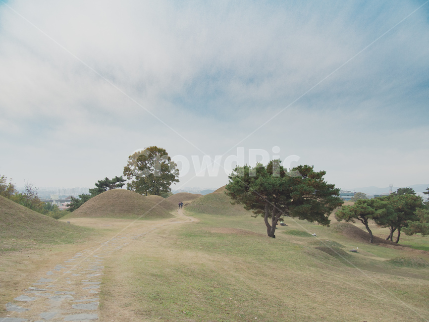grassland,목초지,field,옥외,자연,풍경,가을풍경,하늘,자연,풍경,nature,landscape