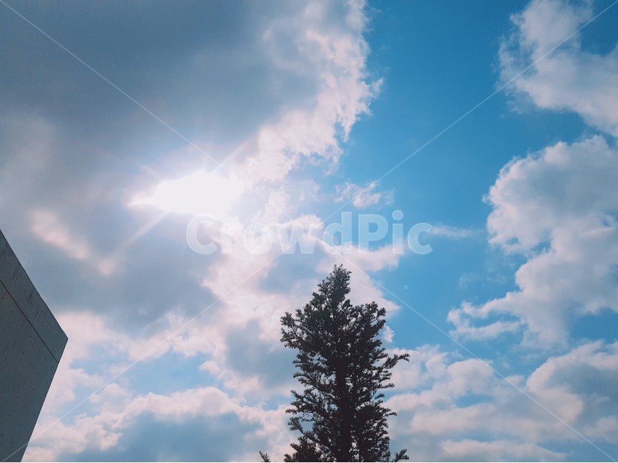 하늘,파란하늘,파란색,하늘색,구름,뭉게구름,맑음,풍경,배경,구름배경,구름풍경,날씨,하늘사진,배경사진,풍경사진한가로움,따뜻함,봄,봄하늘,맑은하늘,하얀구름,하얀색,잔잔함,느긋함,서울,서울하늘,서울구름,자연,자연사진,자연풍경,바탕화면,바탕사진,시원함,좋은날씨,햇빛,해,구름사이해,구름사이햇빛,빛,자연,풍경,nature,landscape,식물,plants,나무,trees,wood,outdoors,옥외,weather,tree,plant