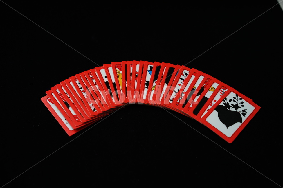 화투,고스톱,게임,놀이,도박,카드,카드게임,card,화투패,화투장,맞고,한국전통,한국문화,korean traditional,korean culture,게임,오락,놀이,game,play