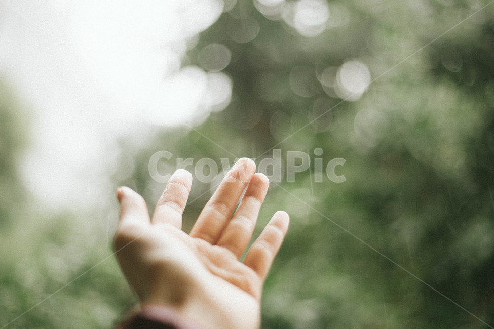 손,비,아웃포커싱,비오는날,hand,rain,rainyday,감성,sensible,feeling,비,비오는날,rain,rainy