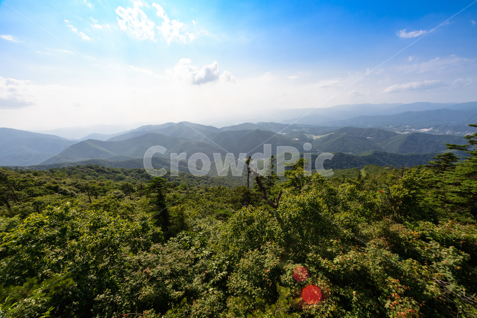 알펜시아,강원도,환경,농촌,구름,숲,공원,맑은,풍경,여름,자연,풍경,nature,landscape,outdoors,옥외