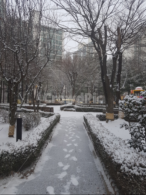 눈,풍경,길,눈밭,도로,아파트