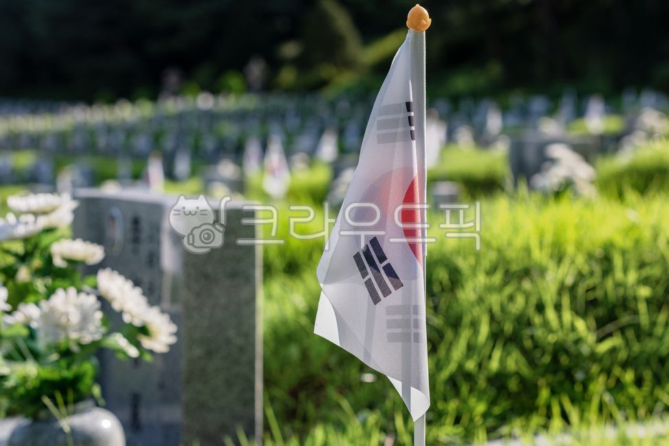 flag,Korean Flag,grass,Cemetry,park