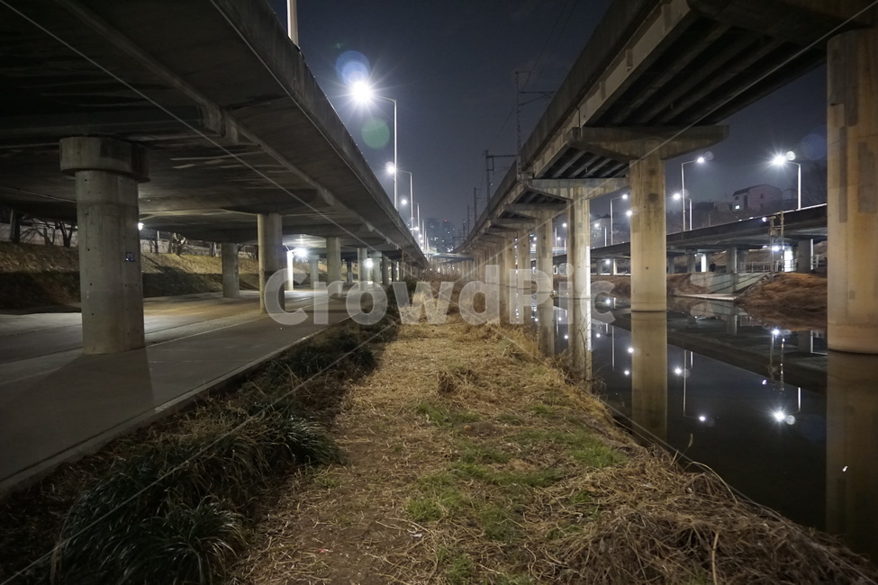 개천,야경,자연,풍경,빛,야경,밤,풍경,nightscape,night,landscape,road,도로,freeway,고속 도로