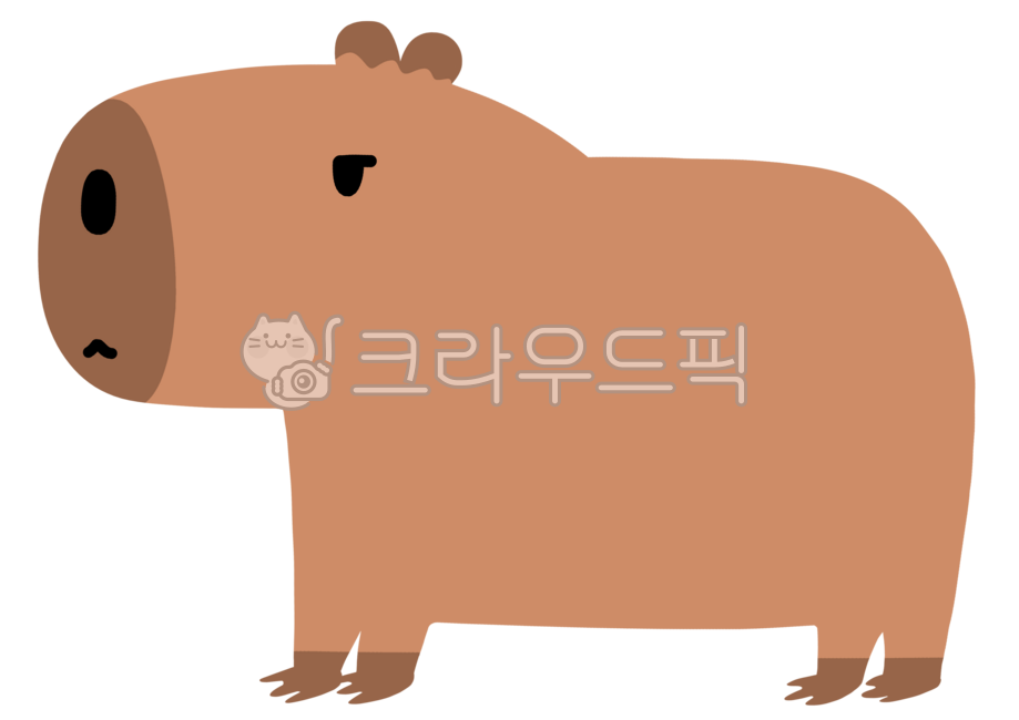 Capybara,capybara,capybara illustration,capybara drawing,capybaraillustration,cartoon,character,hand drawing,illustration,cartoon,character,draw,illustration,cuteanimal