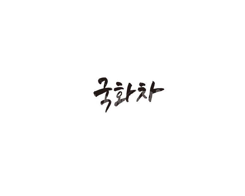 차,tea,음료,국화,국화차,캘리,캘리그라피,꽃차,그래픽,일러스트레이션,graphic,illustration,캘리그라피,손글씨,calligraphy