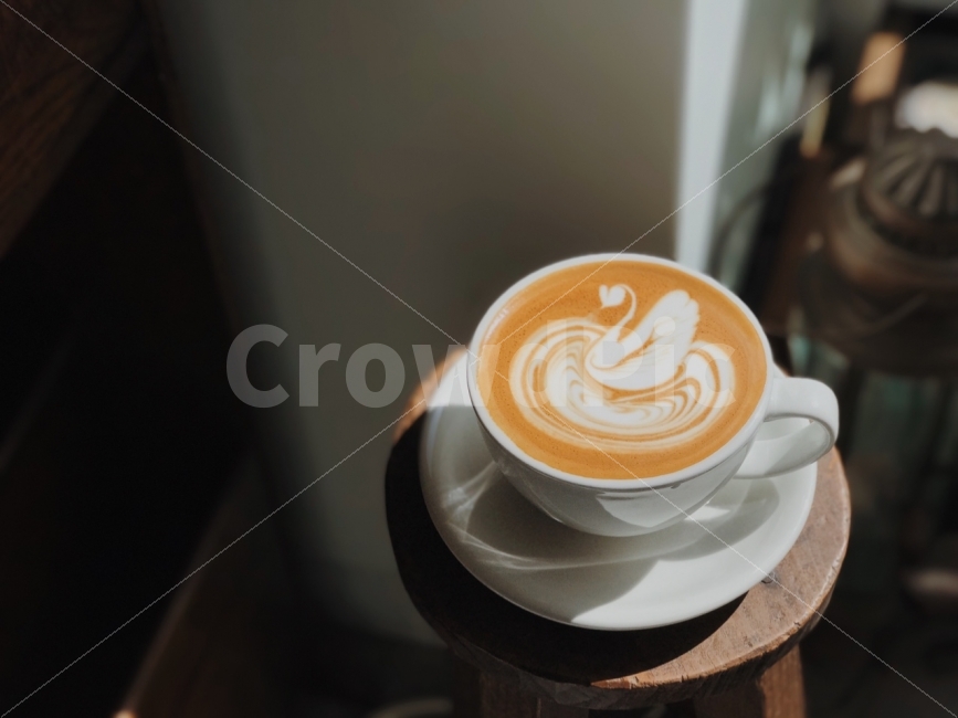우아한,백조,햇살,아침,커피,라떼,커피,카페,coffee,cafe,감성,sensible,feeling