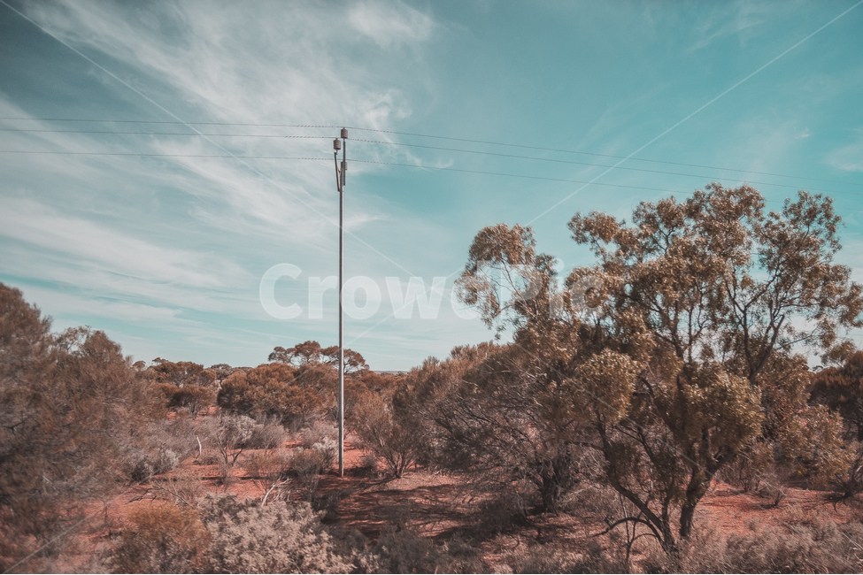 그레이트오션로드,들판,초원,사막,호주,자연,풍경,나무,구름,australia,자연,풍경,nature,landscape,해외,외국,세계,foreign,oversea,world,세계자연풍경,해외자연풍경,외국자연풍경,world nature landscape