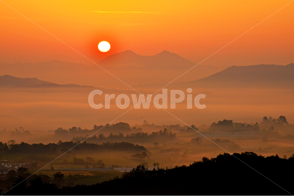 전남,함평,밀재,밀재일출,여명,아침,해돋이,sky,하늘,dawn,새벽,redsky,붉은하늘,fog,안개,plant,식물,nature,자연,outdoors,옥외,scenery,풍경,landscape,경치,mountain,산