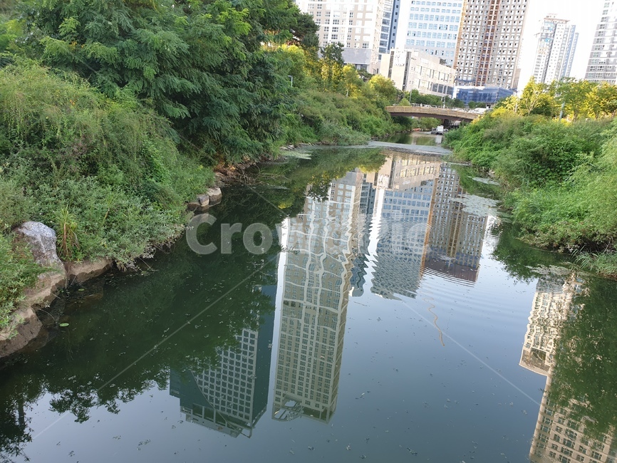 공원,호수,건물,그림자,숲,도시,풍경,city,landscape,한국도시풍경,한국도시경관,korea cityscape