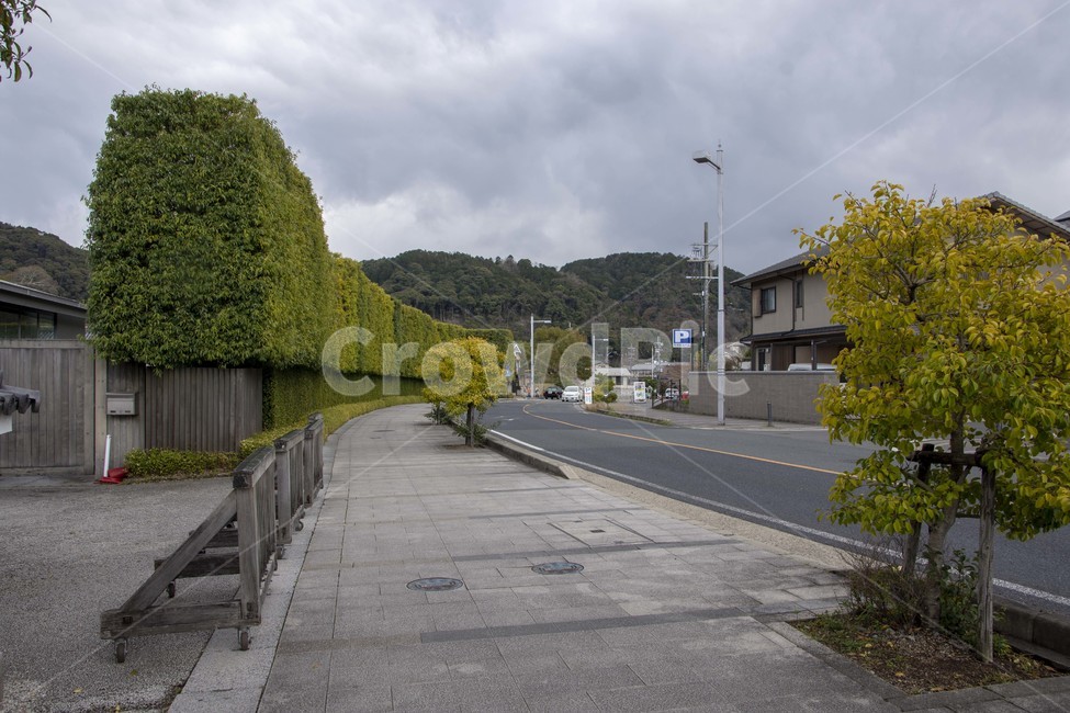 asphalt,아스팔트,road,도로,nature