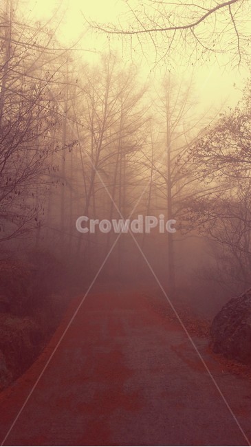 nature,자연,weather,날씨,outdoors,옥외