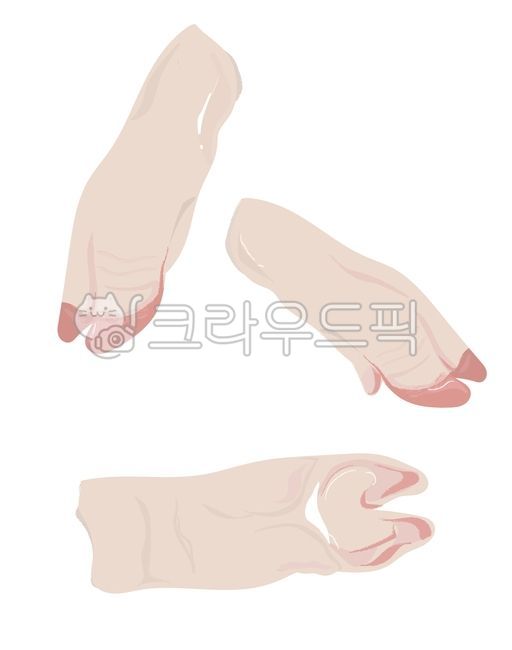 생족발,족발,돼지발,돼지,일러스트,냉동돼지,돼지족발,냉동족발,발굽,돼지발굽,앞다리,뒷다리,앞발,뒷발,생족,돼지생족