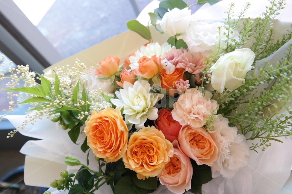 꽃,꽃다발,식물,장미,flower,꽃,flower,기념일,축하,anniversary,congratulation,celebrate,celebration