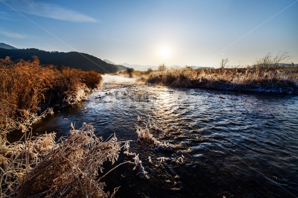 일출,겨울,겨울풍경,상고대,강,갈대,겨울,계절,winter,season,자연,풍경,nature,landscape,water,물,land,땅,outdoors,옥외