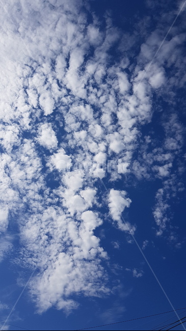 하늘,구름,파란하늘,하얀구름,cloud,bluesky,뭉게구름,azuresky,푸른하늘,sky,자연,nature,outdoors,옥외,자연,풍경,nature,landscape,azure sky,푸른 하늘