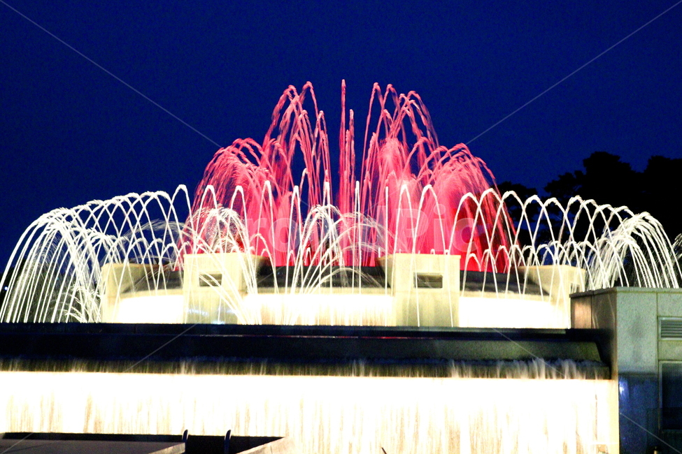 분수대,분수,물,야경,밤,풍경,빛,야경,밤,풍경,nightscape,night,landscape,water,fountain