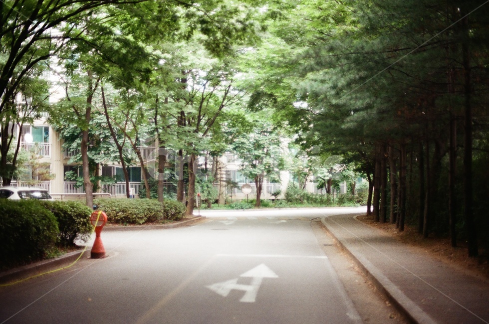 asphalt,아스팔트,정원,garden,도로,road,옥외,outdoors,아파트,산책로