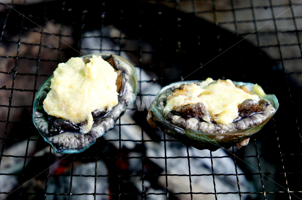food,전복,해물,바베큐,seafood,캠핑,직화구이,bbq,수산물,해산물,fishery products,seafood