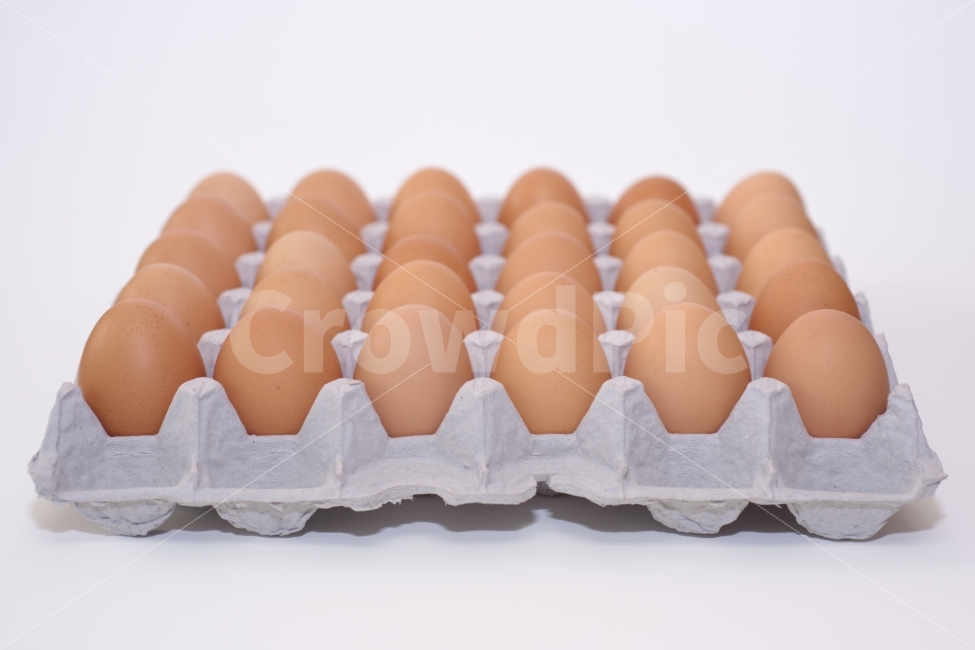 계란,달걀,음식,식재료,계란판,식료품,egg,단백질,담겨있는,보관,신선,식품,재료,오브젝트,요리,한판,흰배경,후레쉬,무농약,살충제,검사,인증,확인,30개,30알,생활,먹다,배경,하얀배경,음식,식재료,요리,food,cook,meal,dishes,food reserves,누끼,remove background
