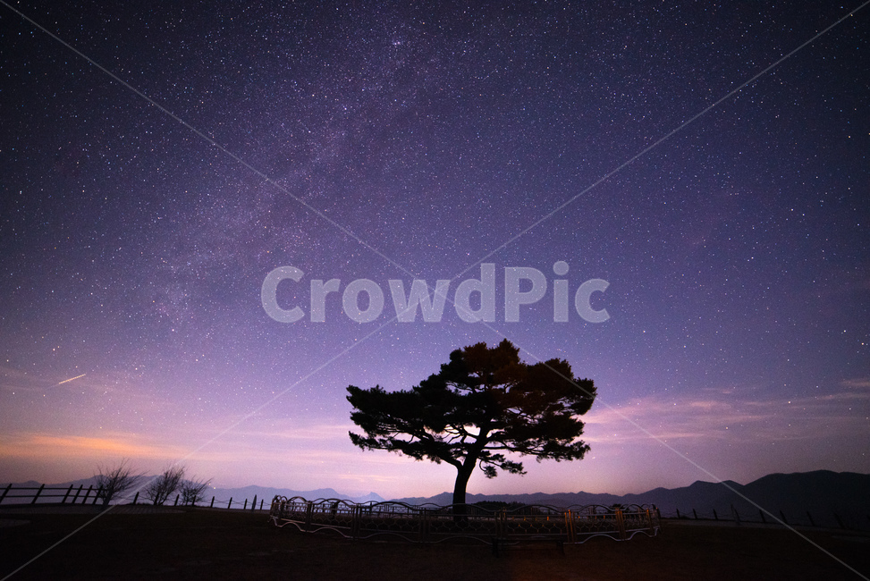 은하수,미리내,별,야간,풍경,겨울,타임캡슐공원,영월,강원도,자연,풍경,nature,landscape,야경,밤,nightscape,night,outdoors,옥외