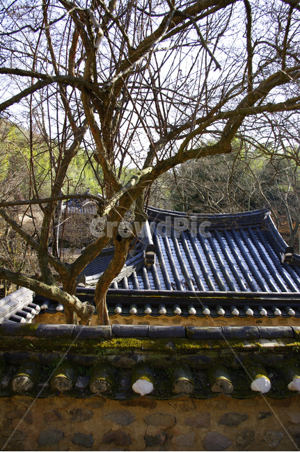 기와,지붕,전통,나무,한국,한국전통,한국문화,korean traditional,korean culture,건축물,건물외관,exterior,building,structure,architecture,construction