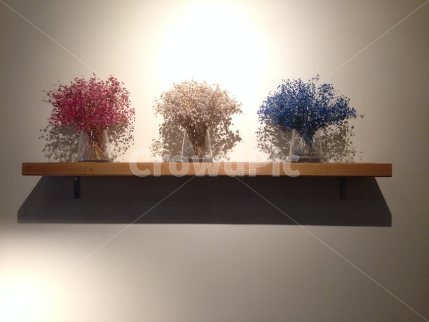 안개꽃,조명,선반,드라이플라워,꽃,그림자,인테리어,실내디자인,interior design