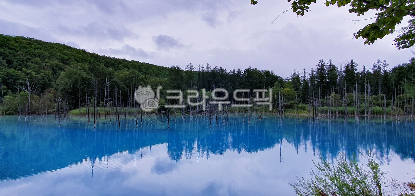 blue pond,Cheongui Lake,japan,nature,tree,Overseas,Hokkaido,water,fir,Aoiike,superb view,outdoors,lake,BA