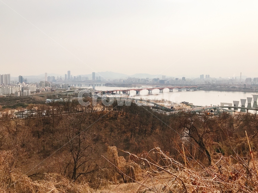 한강,갈대,다리,nature,자연,하늘공원,서울시내,서울,도시,풍경,city,landscape
