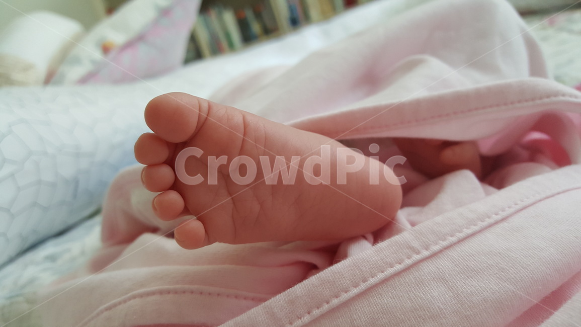 아기발,아기,발,발바닥,발가락,영아,아이발,영아발,여자,사람,신체,foot,인간,감성,사랑,사랑스런,사랑스러운,사람,인물,인간,human,person,영유아,아기,애기,아이,infants,baby