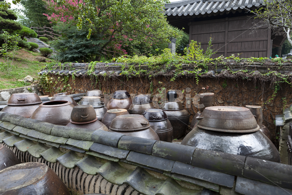 장독,장독대,전통,된장,고추장,한국전통,한국문화,korean traditional,korean culture,건축물,건물외관,exterior,building,structure,architecture,construction