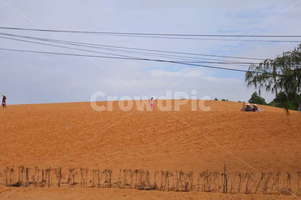 nature,자연,sand,모래,dune,모래언덕,관광지,사막,desert