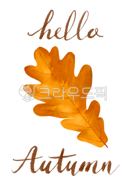 november,Botanical,Maple leaf,botanical,drawing,english,season,decoration,handwork,natural,hand drawing,tree,brown,watercolor,closeup,background,plant,october,autumn,Watercolor,poster,calligraphy,colorful,lettering,Callie,seasonal,botany,bright,isolated,s