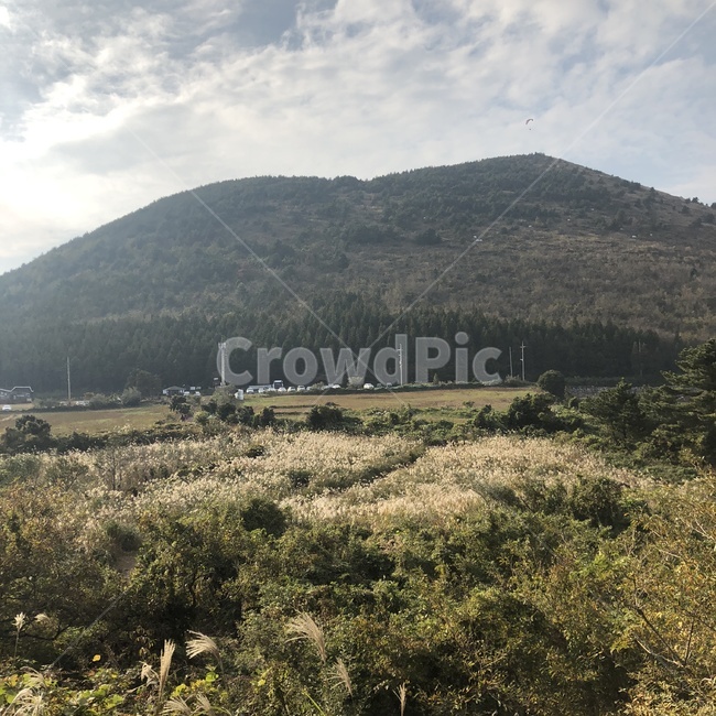 억새,가을,제주도,하늘,풍경,자연,jeju,sky,nature,fall,landscape,오름,silvergrass