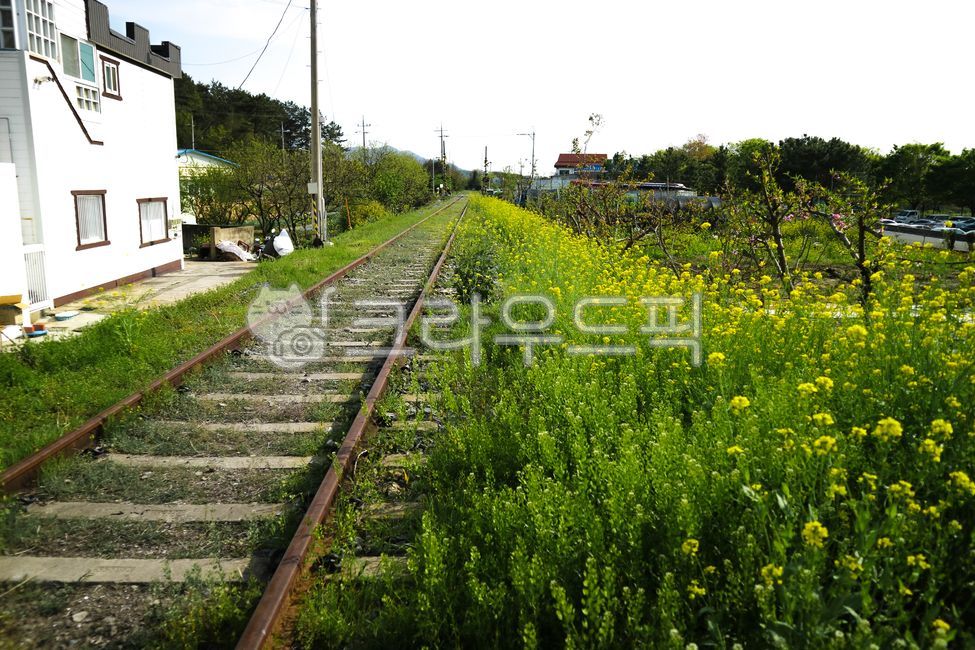 railway, 철도, 교통, transportation, 기찻길, 사진,이미지,일러스트,캘리그라피 - Ntaeyeong1030작가