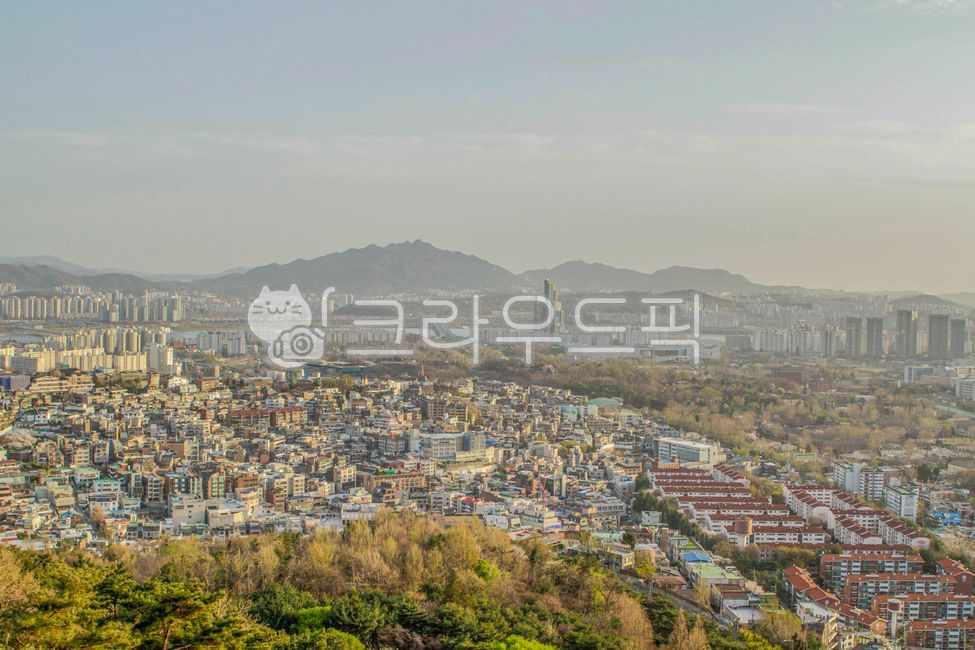 서울,남산,서울타워,건물,고층건물,산,나무,식물,자연,조감도,building,highrise,mountain,tree,plant,nature,aerialview,도시,풍경,city,landscape