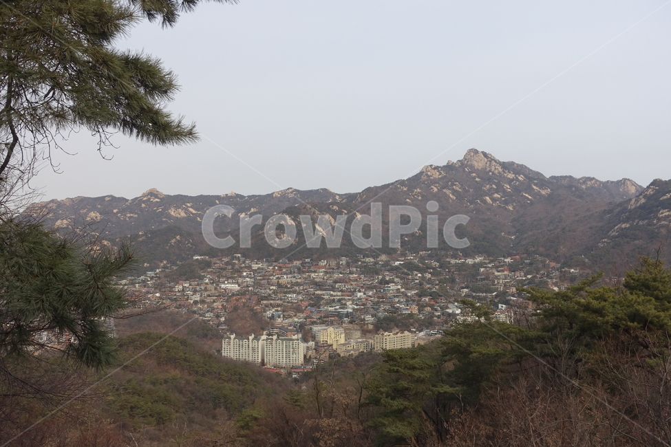 landscape,경치,nature,자연,outdoors,옥외,scenery,풍경