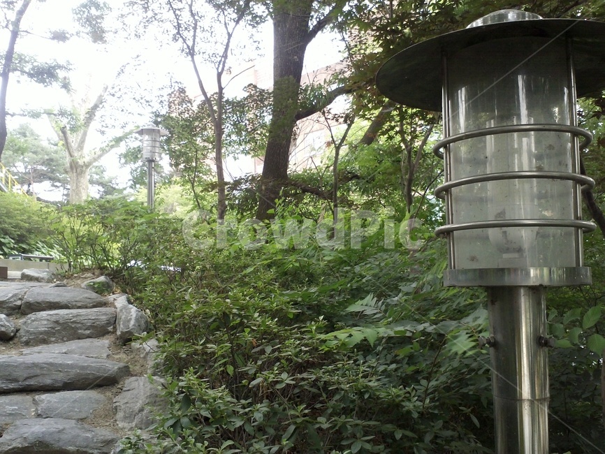 계단,통로,path,식물,나무