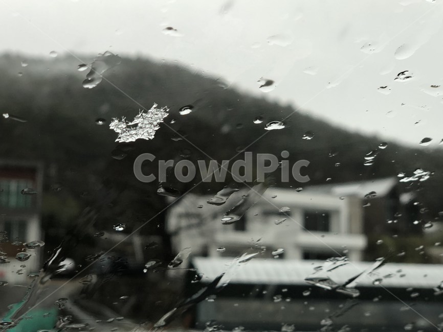 눈,진눈깨비,겨울,비,snow,비,비오는날,rain,rainy