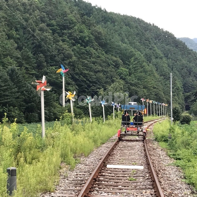 철도,레일,railway,레일바이크,숲,풍경,자연,산,자연,풍경,nature,landscape