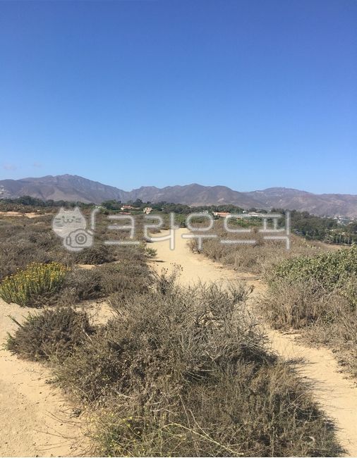 nature,wilderness,자연,outdoors,황야,토양,path,ground,vegetation