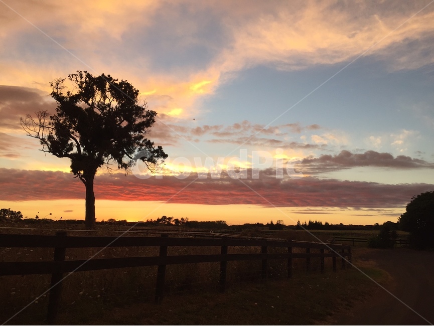 노을,sunset,tree,나무,nature,자연,outdoors,옥외,구름