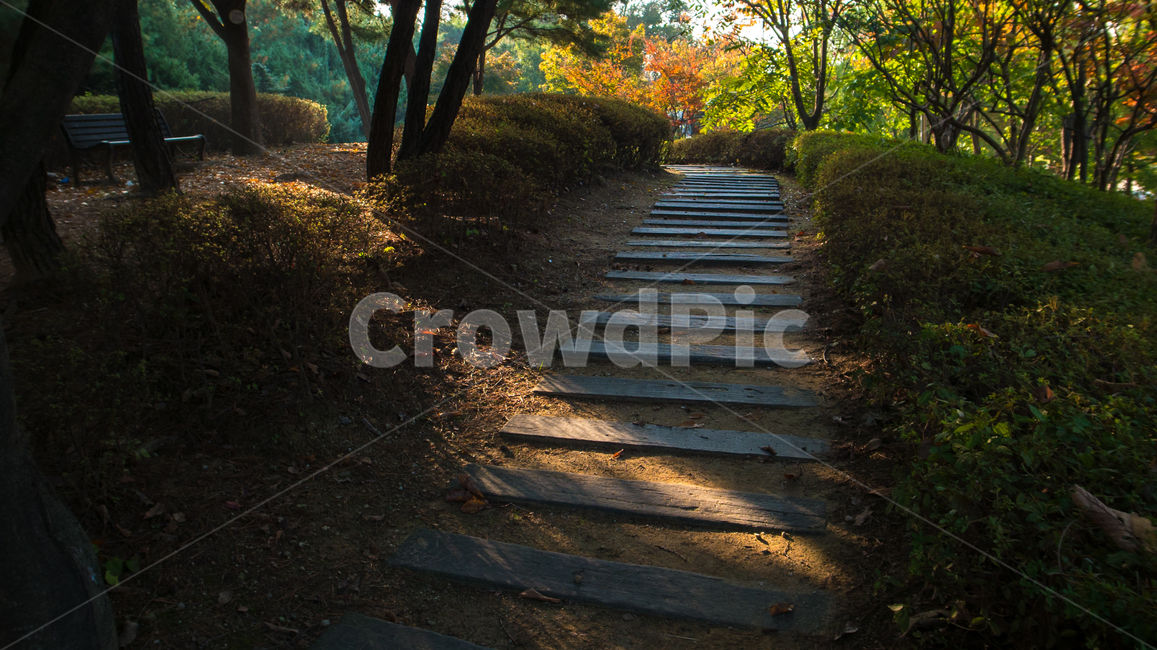 공원,가을,동산,산책로,길,나무계단,숲,단풍,자연,풍경,nature,landscape,path,통로