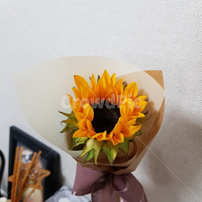해바라기,꽃,노란꽃,한송이,따스함