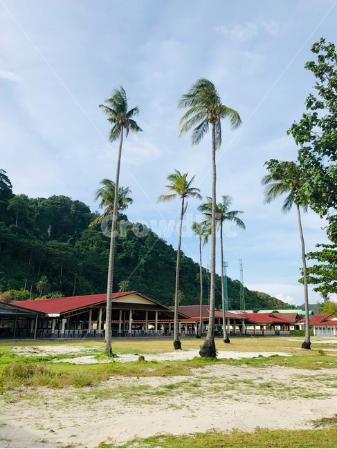 푸켓,태국,야자수,햇살,구름,바다,풍경,thailand,phuket,summer,sea,scenery,scene,view,phiphiislands,자연,해외,외국,세계,foreign,oversea,world,하늘,여름,nature,landscape,모래,해변,계절