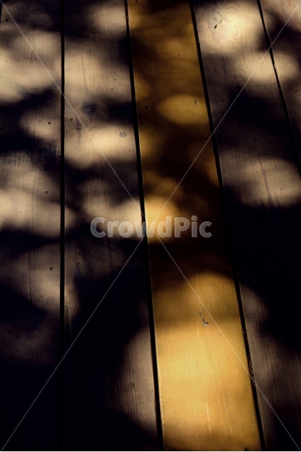 나무,견목,합판,추상,빛,wood,hardwood,plywood