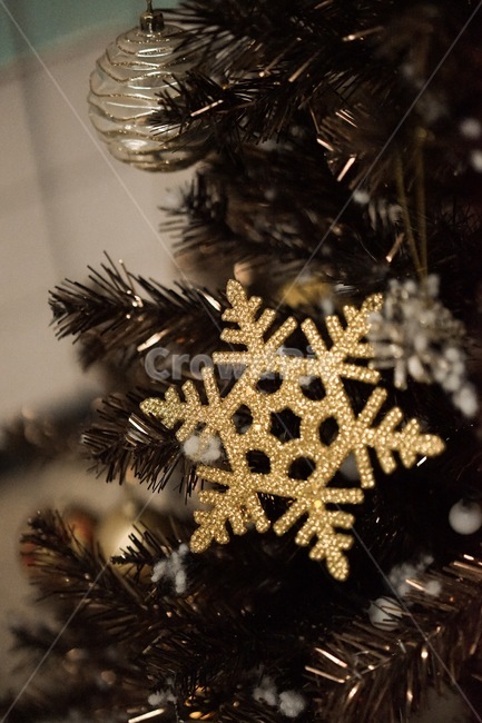 눈꽃,눈결정,겨울,트리,크리스마스,성탄절,겨울,계절,winter,season,메리크리스마스,성탄절,merry christmas