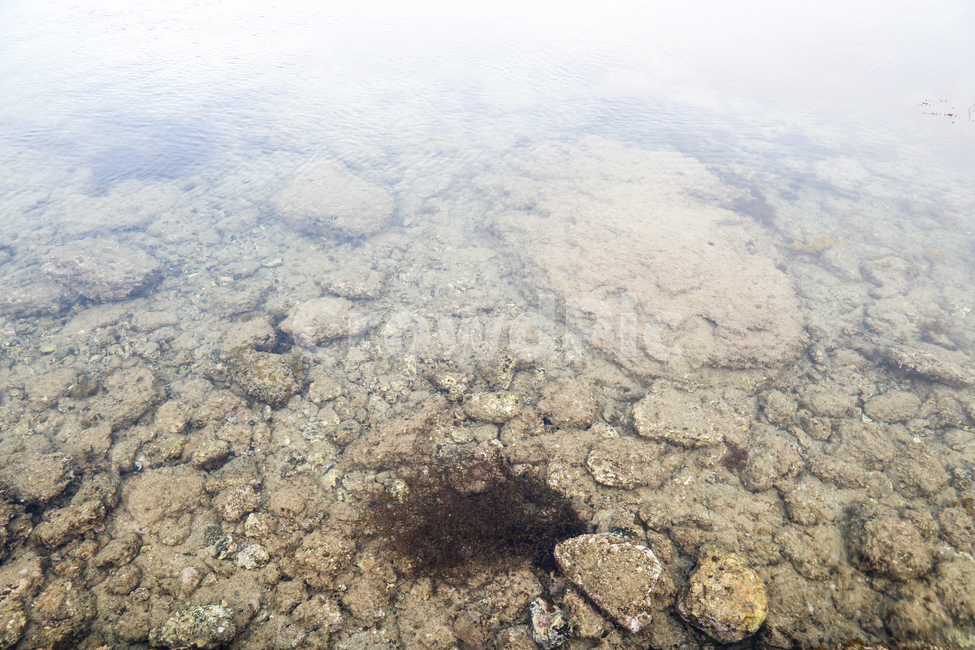 ground,바닥,soil,흙,ocean,sea,water,blue,rocks,nature,clear,물,자연,바다,여름