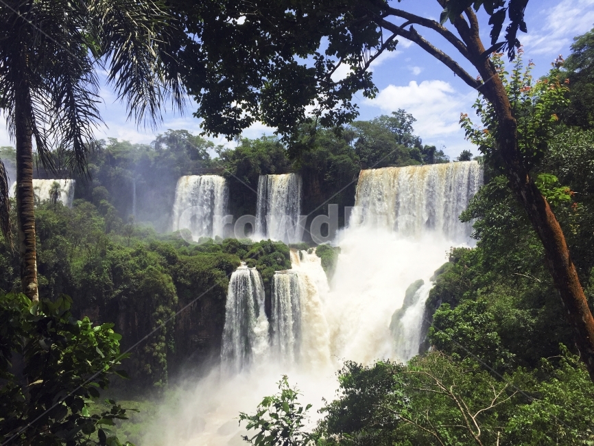 폭포,이과수폭포,아르헨티나,남미,여행,물,하늘,구름,자연풍경,세계,waterfall,iguazu,argentina,southamerica,panorama,travel,trip,water,sky,cloud,nature,iphone,욜로,yolo,웅장함,거대함,나무,풀,랜드마크,힐링,여름,열대,밀림,자연,브라질,자연,풍경,nature,landscape,해외,외국,세계,foreign,oversea,world,세계자연풍경,해외자연풍경,외국자연풍경,world nature landscape,river,강,outdoors,옥외